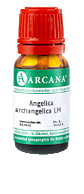 ANGELICA ARCHANGELICA LM 4 Dilution