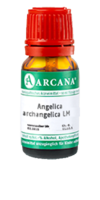 ANGELICA ARCHANGELICA LM 10 Dilution